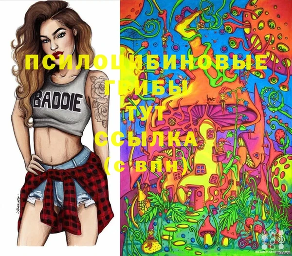 мет Ветлуга